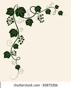 Beautiful grape vine green silhouette on beige background. Vector illustration.