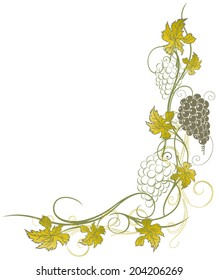 Beautiful grape vines, vector decoration