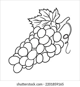 7,754 Grape drawing outline Images, Stock Photos & Vectors | Shutterstock