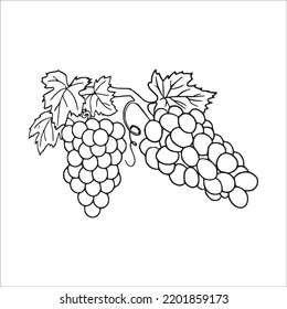 beautiful Grapes line art images,Grapes outline drawing,Grapes vector art and Grapes illustrations art