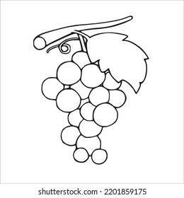 Beautiful Grapes Line Art Images,Grapes Outline Drawing,Grapes Vector Art And Grapes Illustrations Art