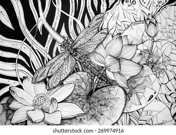 Beautiful graphic background with lotuses and dragonfly. Vector illustration