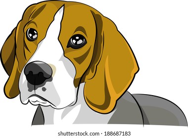 beautiful graphic design vector of beagle dog