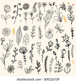 Beautiful graphic flower set for design, doodle floral elements, Vector