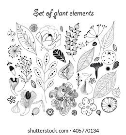 Beautiful graphic set with different plants on a white background