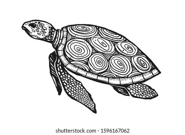 Beautiful graphic turtle. 23rd May will be Turtle Day. Sea turtle isolated from background.