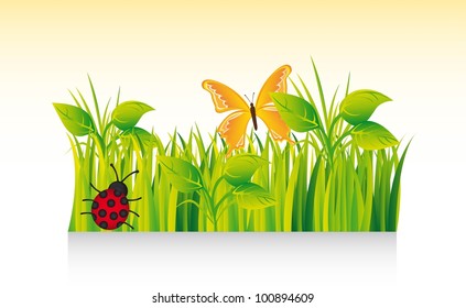 beautiful grass with ladybug and butterfly. vector illustration