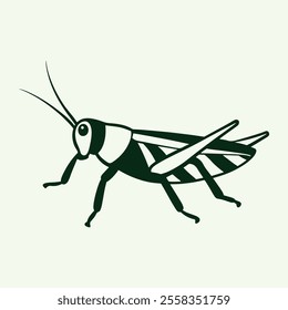 Beautiful grasshopper illustration with details.
