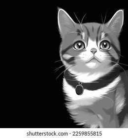 Beautiful gray cat on black background. Funny Cat. Creative design.