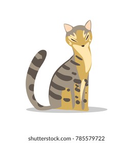 Beautiful gray cat with tabby pattern, light brown colored belly and muzzle. Cartoon pet character. Domestic animal sitting with closed eyes and relaxing. Flat vector design