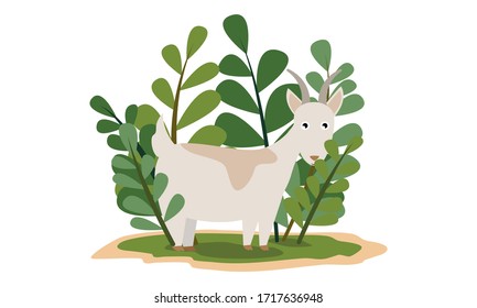 A beautiful gray goat with long horns stands in a clearing surrounded by tall green plants. Pets on the farm. Cute vector cartoon illustration for children.