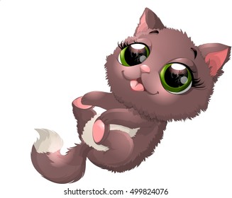 beautiful gray kitten