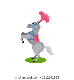 Beautiful gray spotted horse with pink feather headdress, standing on its hind legs. Circus animal. Flat vector design
