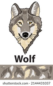 Beautiful gray wolf head of wild animal living in nature with a print texture of the skin. Vector illustration