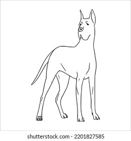 beautiful Great Dane line art images,Great Dane outline drawing,vector art and Great Dane illustrations art