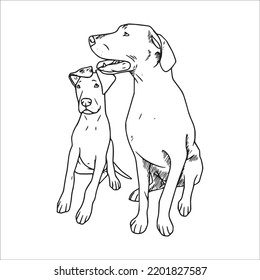 beautiful Great Dane line art images,Great Dane outline drawing,vector art and Great Dane illustrations art