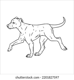 beautiful Great Dane line art images,Great Dane outline drawing,vector art and Great Dane illustrations art