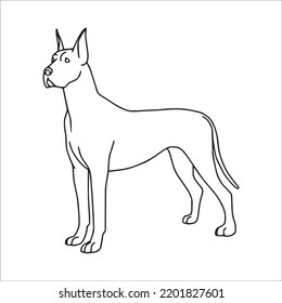 beautiful Great Dane line art images,Great Dane outline drawing,vector art and Great Dane illustrations art