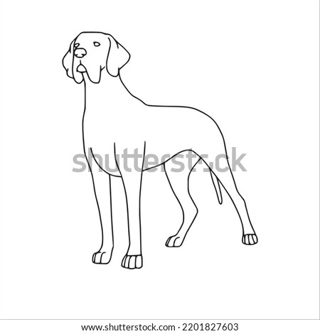 beautiful Great Dane line art images,Great Dane outline drawing,vector art and Great Dane illustrations art
