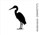 Beautiful great egret silhouette isolated on white background. Great egret icon vector illustration design.