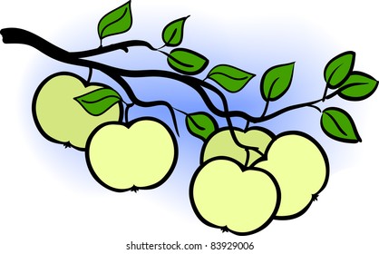 beautiful green apple branch of  tree, vector illustration