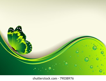 Beautiful green background with the butterfly and dew drops
