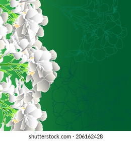beautiful green background with white flowers flowers vector
