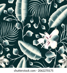 beautiful green banana leaves with monochrome color tropical plant seamless pattern on dark background. Fashionable tropical floral textile. Exotic background. Summer design