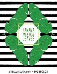 Beautiful green botanical background with tropical foliage as banana palm tree leaves on striped background for your decoration