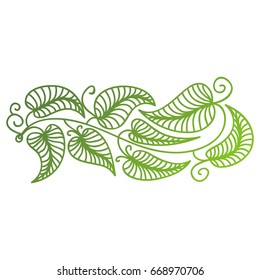 Beautiful green branch. Vector illustration.