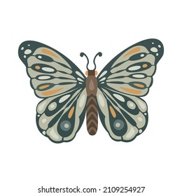 Beautiful, green butterflie isolated on white background Vector illustration