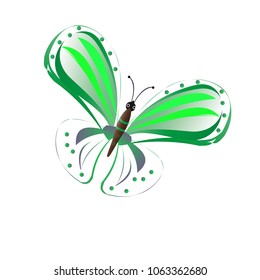 beautiful green butterflies, isolated on a white
