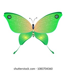 beautiful green butterflies, isolated on a white