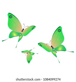 beautiful green butterflies, isolated on a white