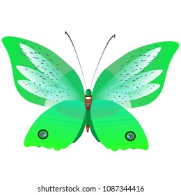 beautiful green butterflies, isolated on a white