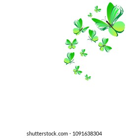 beautiful green butterflies, isolated on a white