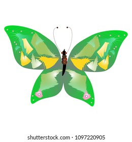 beautiful green butterflies, isolated on a white