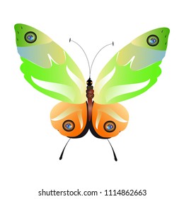 beautiful green butterflies, isolated on a white