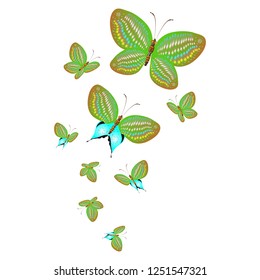 beautiful green butterflies, isolated on a white