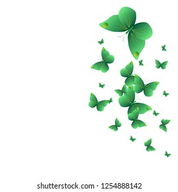 beautiful green butterflies, isolated on a white