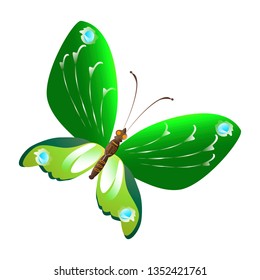 beautiful green butterflies, isolated on a white