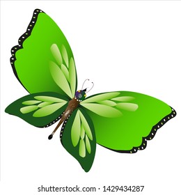 beautiful green butterflies, isolated on a white