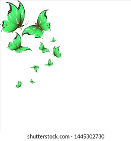 beautiful green butterflies, isolated on a white