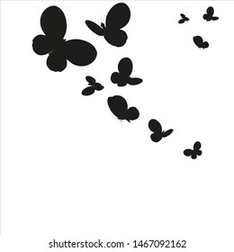 beautiful green butterflies, isolated on a white