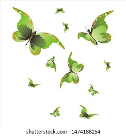 beautiful green butterflies, isolated on a white