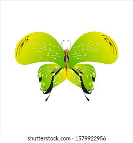beautiful green butterflies, isolated on a white