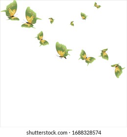 beautiful green butterflies, isolated on a white