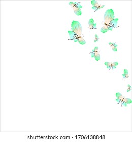 beautiful green butterflies, isolated on a white