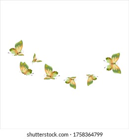 beautiful green butterflies, isolated on a white