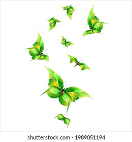 beautiful green butterflies, isolated on a white background